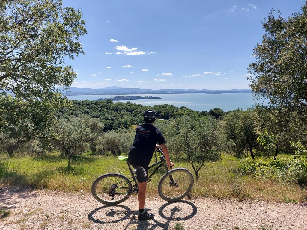 il prezzo viviev la bicicletta da corsa